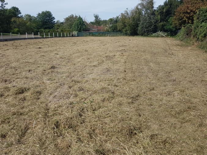 Terrain (s) à bâtir