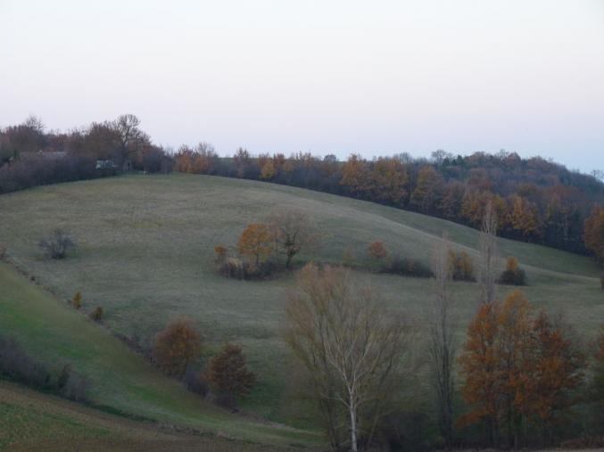 Location prairie chevaux