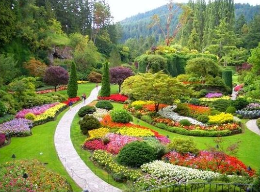 Bricolage/jardinage/nettoyage