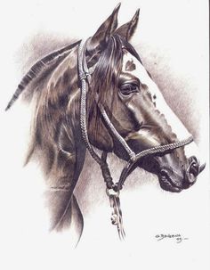 DAME Prof. Donne COURS DESSIN Tous SUJETS Tt Niveau ADULTES, ENFANTS, en SAVOIE