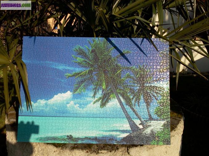 Puzzle "beauté des îles"