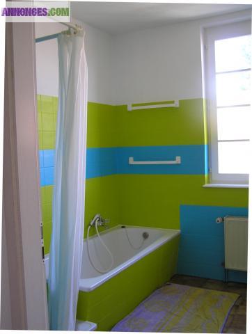 Spacieux F3-F4 de 120 M2  remis à neuf