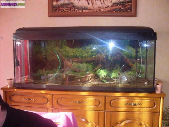 Aquarium 535 litres