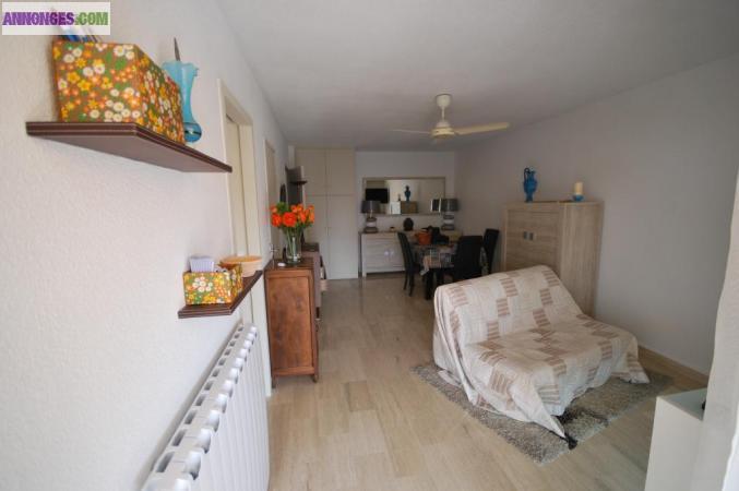 Bail ingénieur étudiante 8 mois