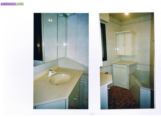 Maison T4 + terrain / jardin