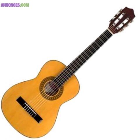 GUITARE Savoie - Tous NIVEAUX et Ts STYLES- TARIFS DEGRESSIFS 