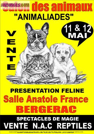 Salont du chiot et du chaton Bergrac 11 et 12 mai