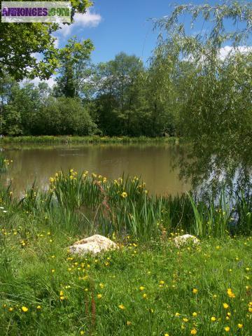 Coin detente et pêche