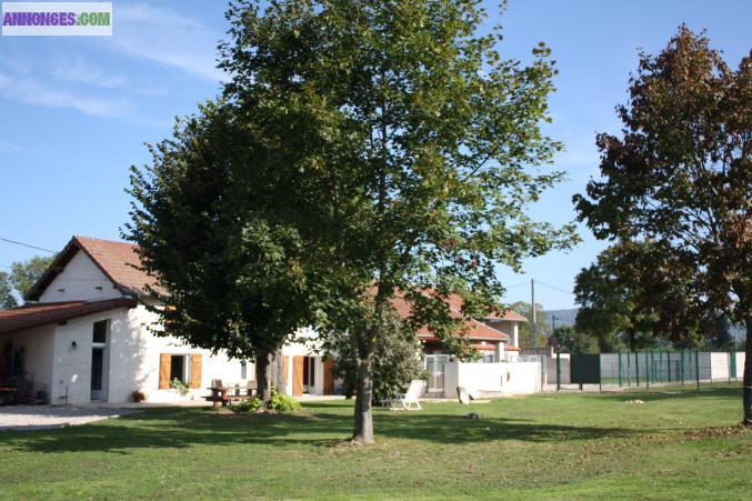 Pension canine & feline A VENDRE