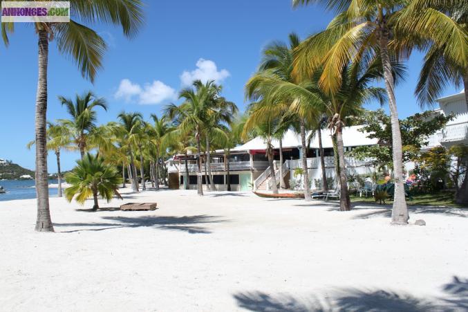 Vente appartement Anse Margot