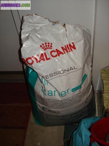 Royal canin Mini Starter