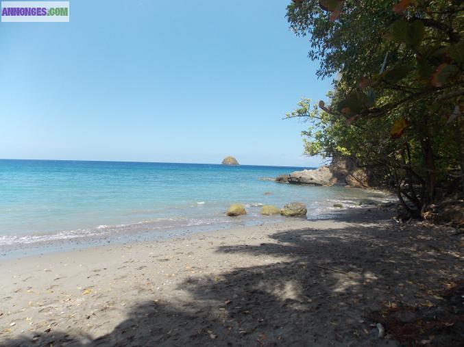 Locations saisonniéres