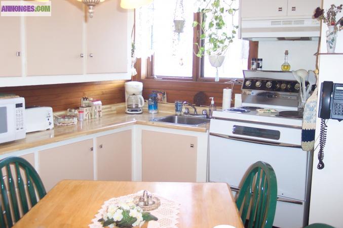 Logement à louer- 4 1/2