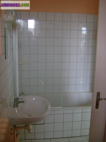 Loue / vend très beau F3 proche rue Jaurès