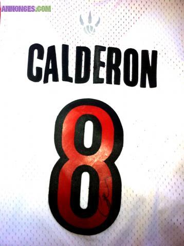 Tee shirt Raptors dédicacer