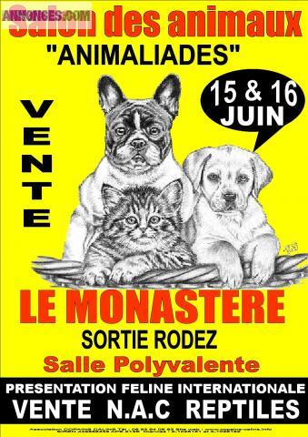 Salont du chiot et du chaton 15 et 16 Juin Rodez