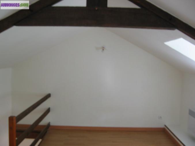 Vente appt duplex type 2