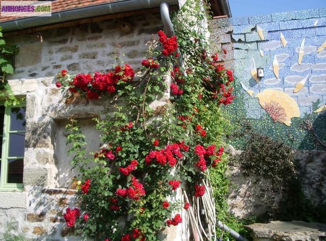 Maison en colocation