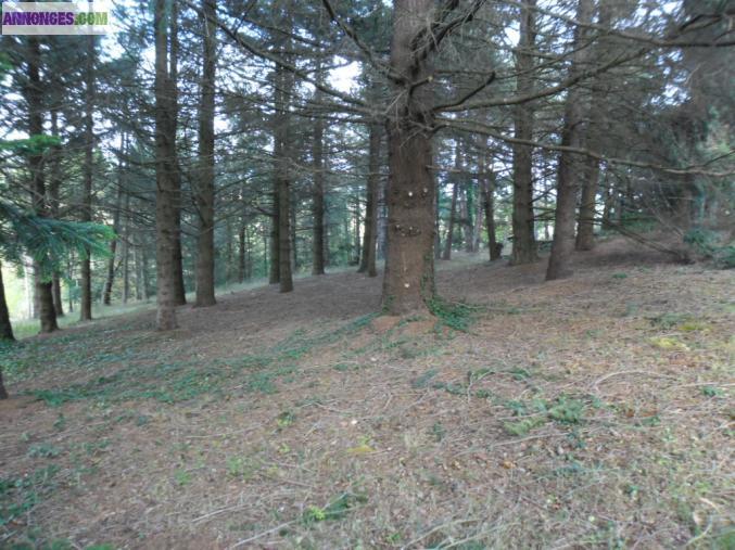 Parc constructible a 18 km de carcassonne