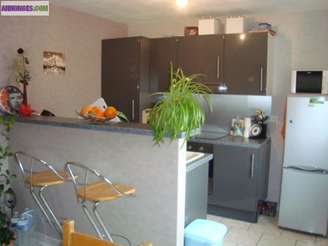 Appartement 2 pièces de 45 m2 en très bon état