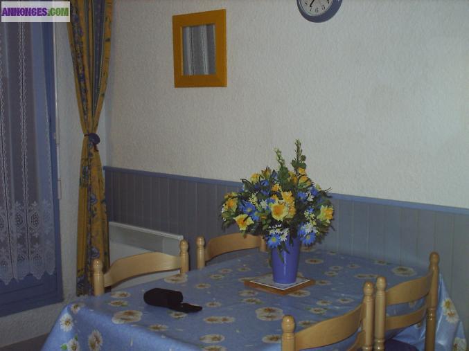 Loue appartement au Praz De Lys