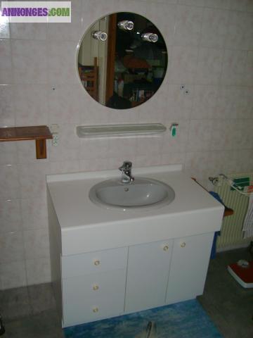 Meuble salle de bain