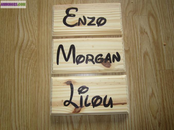 Prénoms écriture DISNEY