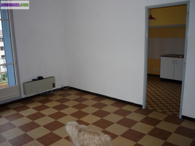 Appartement F3 à louer