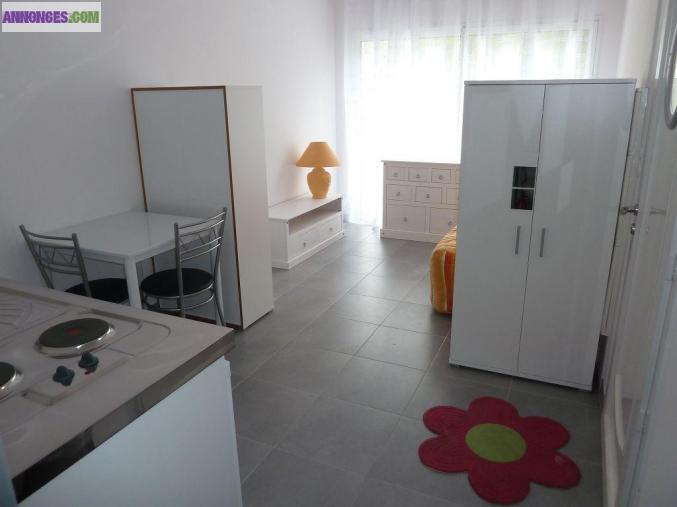 Location studio 25 M² à La Roche Sur Yon (85000)