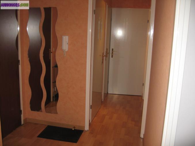 Appartement 3 pièces 58m²