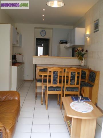 20 m de la plage - appt 35m² - 4 p + terrasse 16 m² fermée proche ts commerces