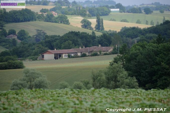 2 MAISONS ECOLOGIQUES