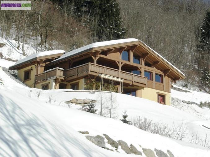 Magnifique chalet en bois brossé