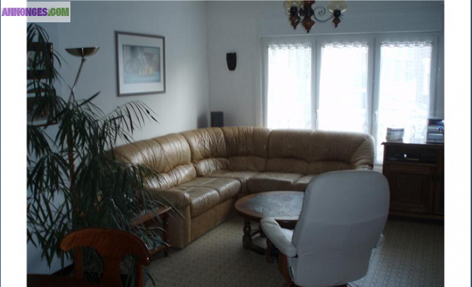 Maison 117 m2 + Jardin - Sin Le Noble