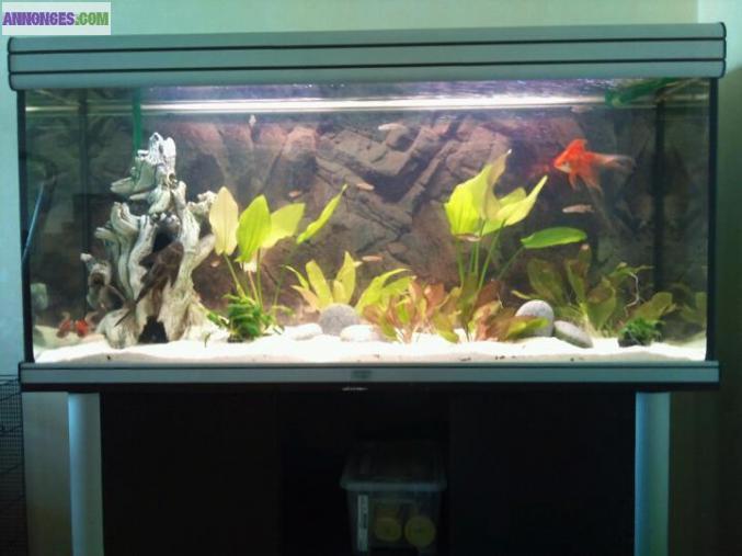 Aquarium avec meuble et pompe eheim