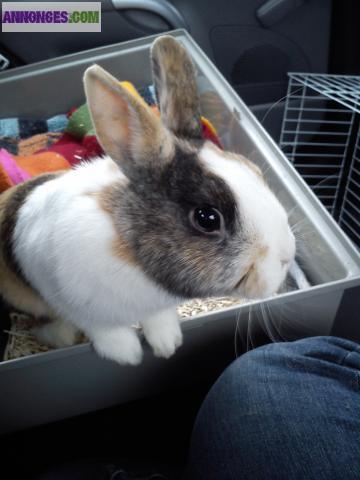 Garde de vos compagnons