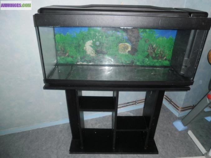 Aquarium