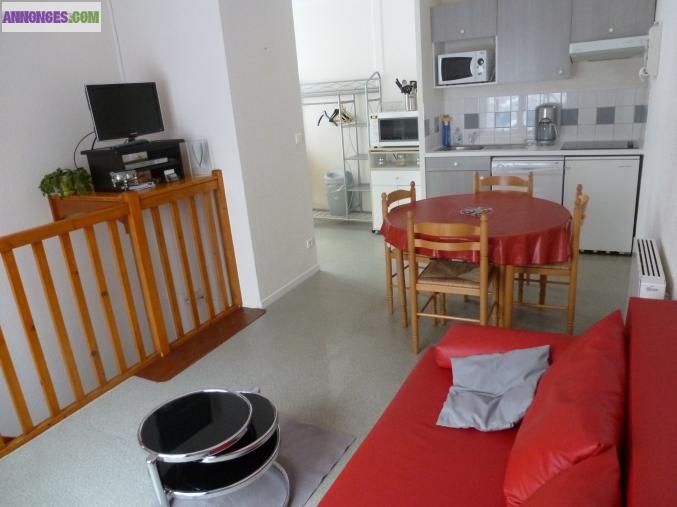 Loue t2 duplex à la montagne