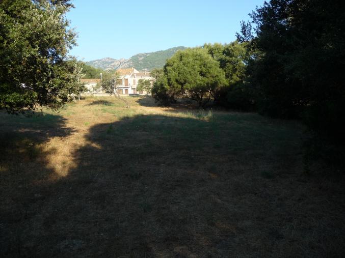 Beau Terrain constructible 