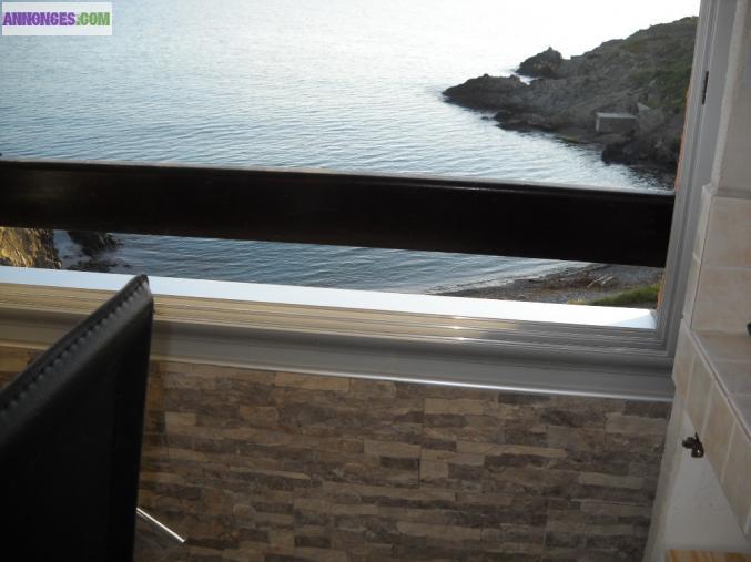 LOCATION DE VACANCES PORT-VENDRES