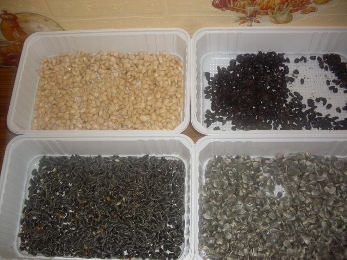 Graines de tournesol  jaune