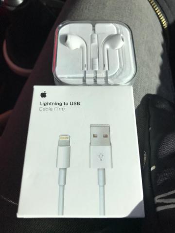 Chargeur Apple + Écouteurs Authentique