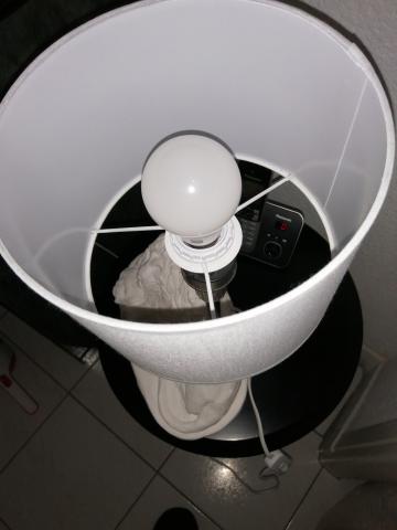 Lampe de chevet et salon lion blanc connect