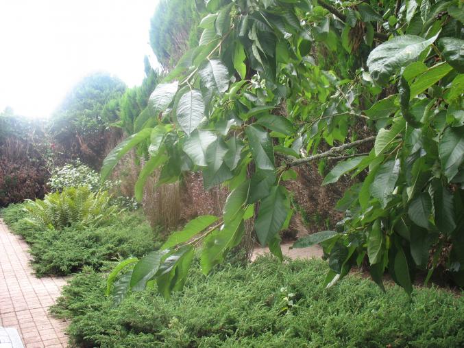 Chambre Meublée Mobilité Professionnelle