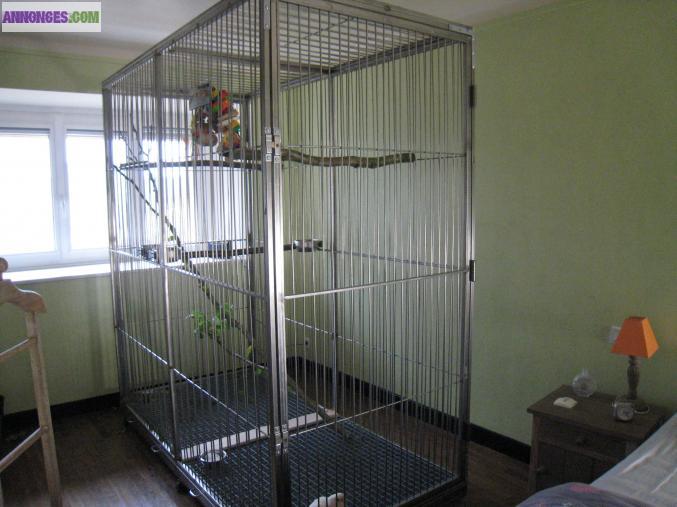 Volière perroquet