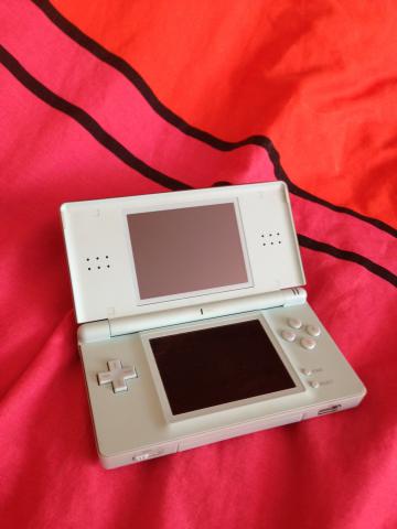 Nintendo Dsi + housse