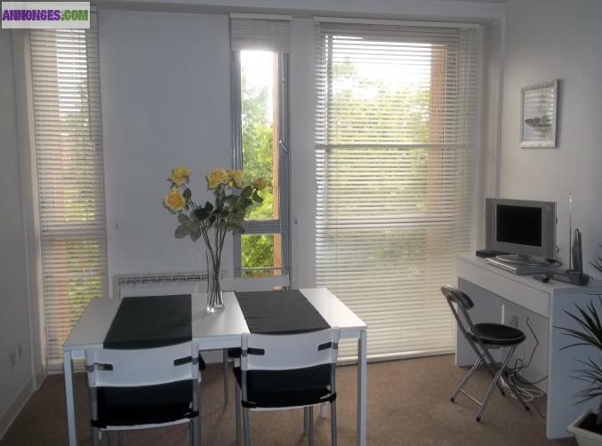 STUDIO T1 BIS PLEIN CENTRE TOULOUSE TRES SPACIEUX