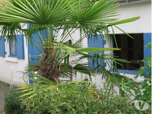 Magnifique  appartement 2 pièces