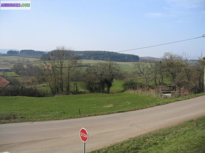 TERRAIN CONSTRUCTIBLE CU DELIVRE