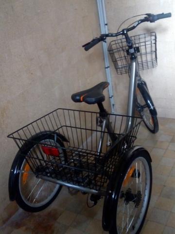 Tricycle adulte 